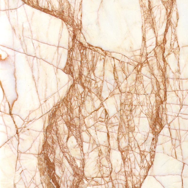 Spider Golden Marble